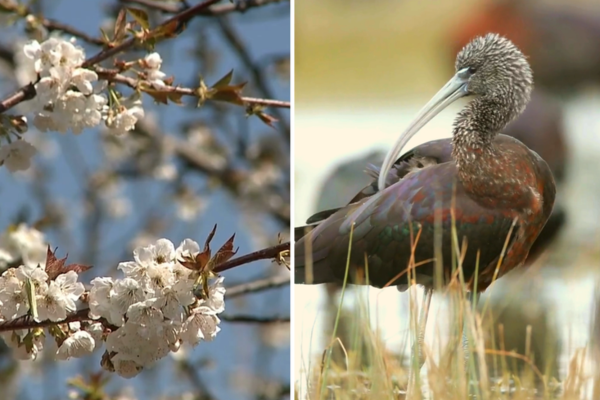 Ici, la nature vous souhaite bonne année tous les mois de l’année !